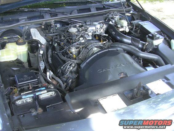 1996 Ford Crown Victoria engine bay with V8 engine, battery, and coolant reservoirs visible