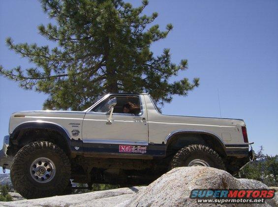 White Ford Bronco with off-road tires on a rocky incline under a pine tree