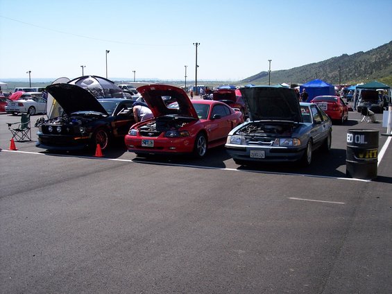 100_9125.jpg 