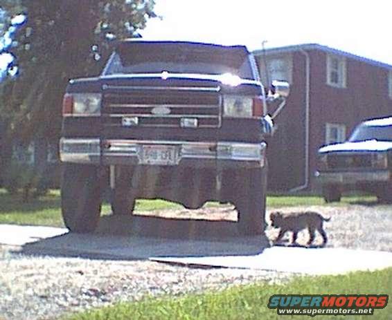 1987 Ford Bronco front view with a dog walking by