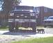 1989 Ford Bronco - Front view of a dark colored Ford Bronco, with a dog walking in front of it.