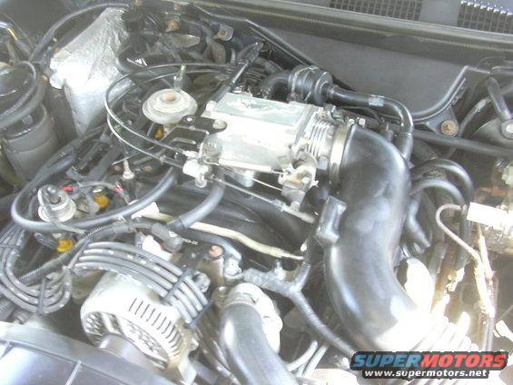 Engine bay with alternator, intake manifold, and various hoses visible