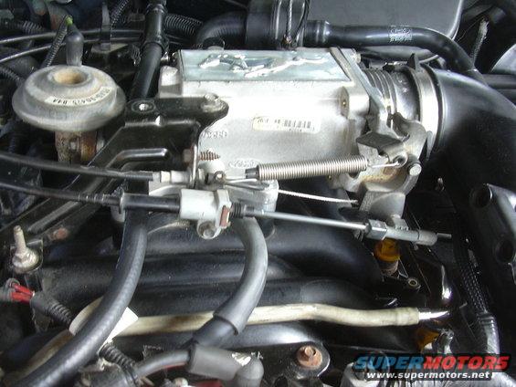 Close-up of engine intake manifold with throttle body and fuel injectors. Mustang emblem visible on intake