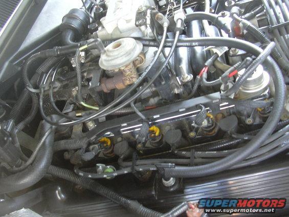 Engine bay with fuel injectors and wiring