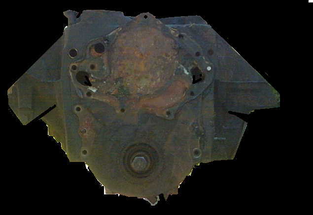 scooby-01.jpg 
