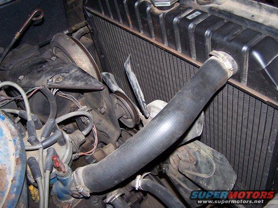 Radiator and engine hoses in a vehicle's engine bay. Part numbers visible on hoses