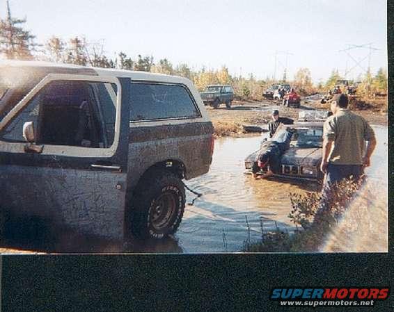 untitled11.jpg he thought it could swim :)