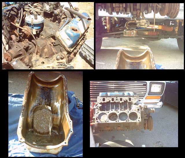 1979 Ford Bronco photo