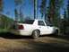 2003 Ford Crown Victoria photo