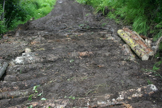 2007-f-jun-30_20.jpg 