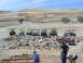 1989 Ford Bronco - Several off-road vehicles, including a red 1989 Ford Bronco, are parked on a rocky incline under a clear sky.