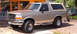 1981 Ford Bronco