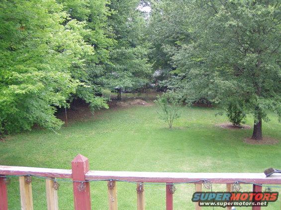 Backyard with green grass, trees, and a wooden railing in the foreground