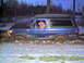 1978 Ford Bronco - brother in law just before we pulled it out.