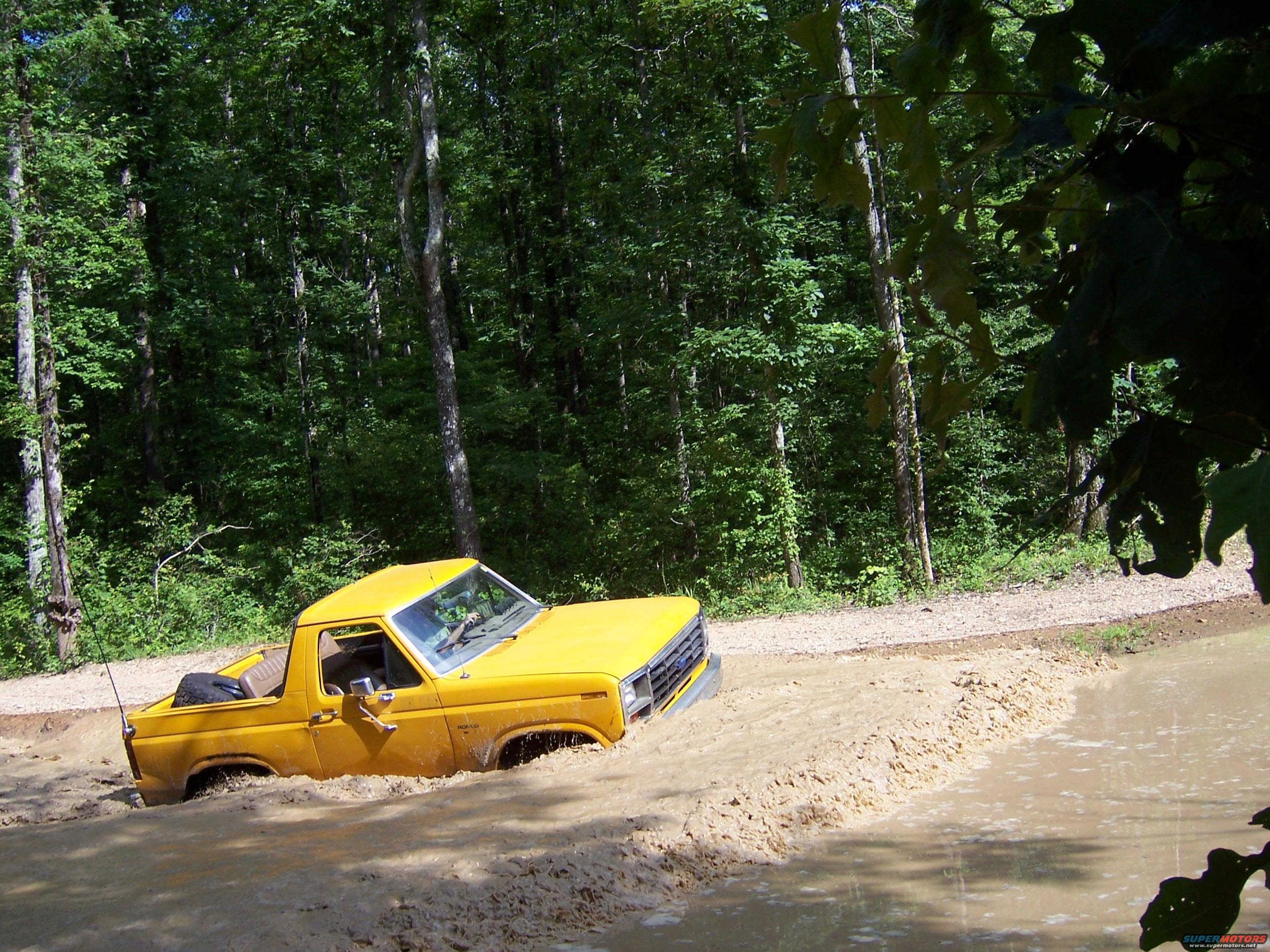 1986 Ford Bronco photo