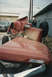 1967 Ford F-100 - A severely damaged 1967 Ford F-100 pickup truck lies on its side, its hood propped open and front end crushed.