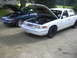 1997 Ford Crown Victoria - Two Ford Crown Victorias are parked outside with their hoods open, revealing their engines.
