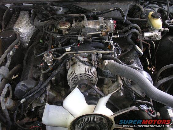 Engine bay with V8 engine, alternator, fan, and hoses visible
