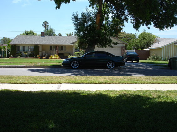 dsc09054.jpg 