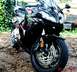 2006 Honda CBR-RR - so pretty.