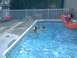 2003 Yamaha RAPTOR 80 - A group of children enjoy a sunny day swimming in a backyard pool.