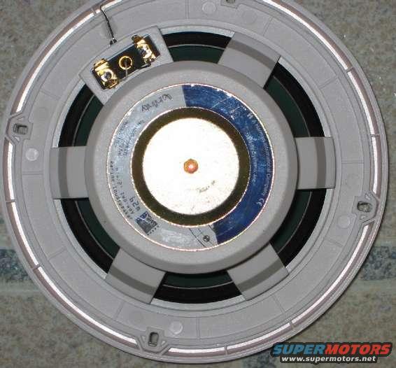 Rear view of an Infinity speaker with model and serial numbers visible