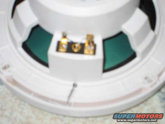 Back of a white speaker with gold terminals and a green cone visible