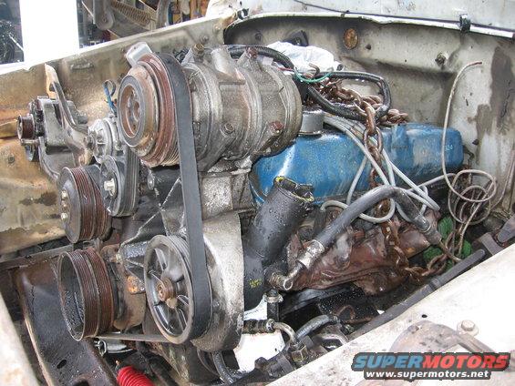 Engine bay with V-belt driven accessories and blue valve covers