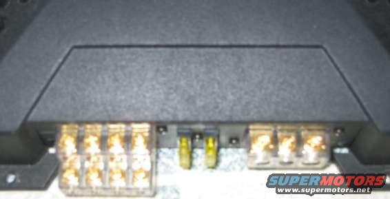 Close-up of a car amplifier's input and output terminals, with gold-plated connectors and two yellow fuses visible