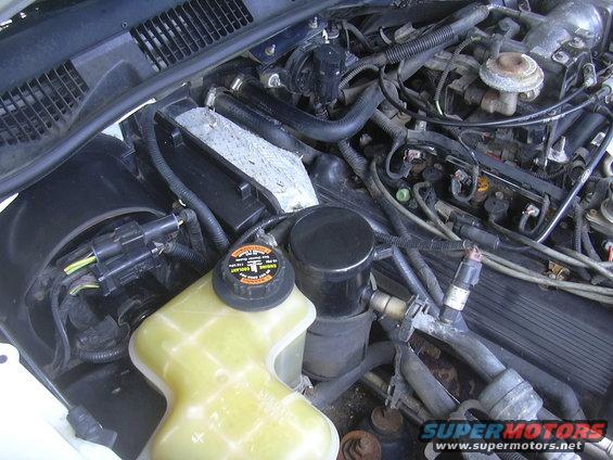 1997 Ford Crown Victoria engine bay with coolant reservoir and various hoses and electrical connectors