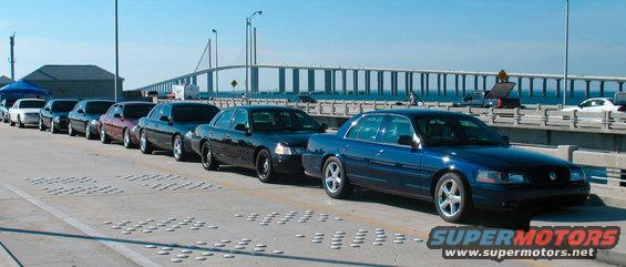 Line of blue and black Ford Crown Victorias parked on a bridge. One blue car in foreground