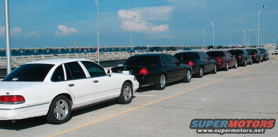 White Ford Crown Victoria parked next to a line of black and maroon Crown Victorias