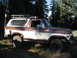 1979 Ford Bronco - This two-tone Ford Bronco is parked on a dirt path surrounded by trees.