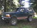1979 Ford Bronco - This dark green SUV, tan trim and oversized tires, is parked amidst trees in a natural setting.