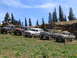 1979 Ford Bronco - A convoy of classic Ford Broncos and pickup trucks gathered for an off-road adventure on a sunny day.