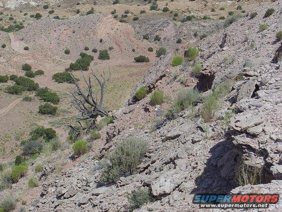 Desert landscape with rocky terrain, sparse vegetation, a dead tree, and a dirt road in the distance