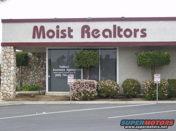 Commercial building with 'Moist Realtors' sign and 'Hallbert Insurance Agency' on window