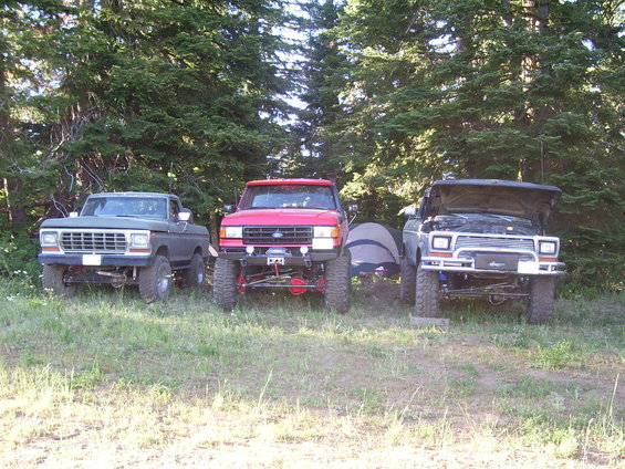 Gray pickup, red truck, and gray SUV with hood up parked in grassy area with trees behind