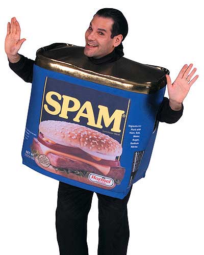 spambig.jpg I hate spammers!