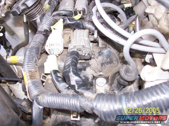 Engine wiring harness with gray and white connectors