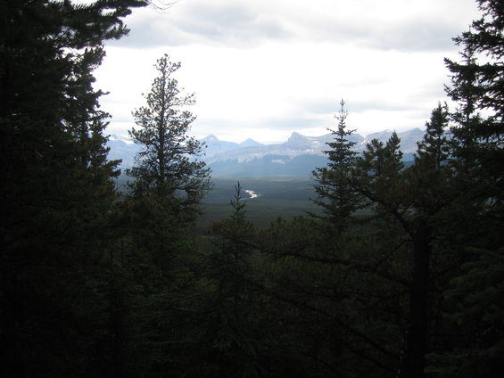 Forest view of mountains and a winding river under a cloudy sky