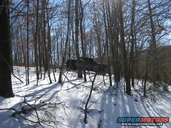 Black SUV driving through snowy woods