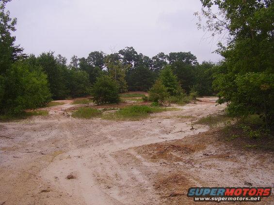 Dirt road winding through trees under an overcast sky
