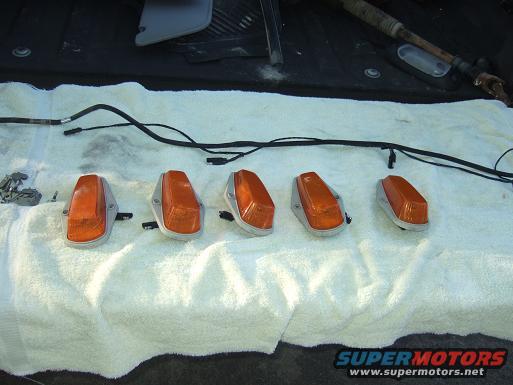 dscf0161.jpg chicken lights