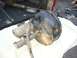 1900 Ford 427 - f250 brake booster and MC