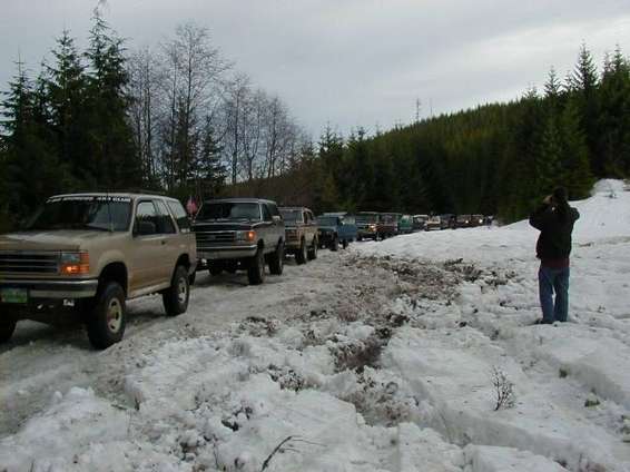 christmas_tree_run_2001.jpg Another veiw of the line of trucks (pic from Anne K.)