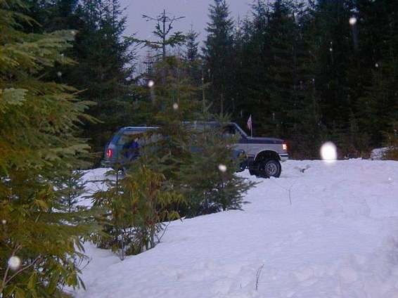 found_the_tree.jpg Found our tree up in the snow, nice Noble fir