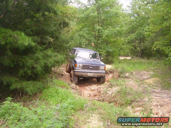 SUV from rear on a dirt road surrounded by trees