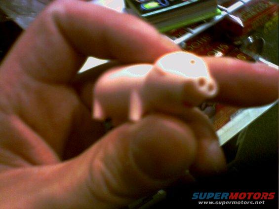 Hand holding a small pink toy pig