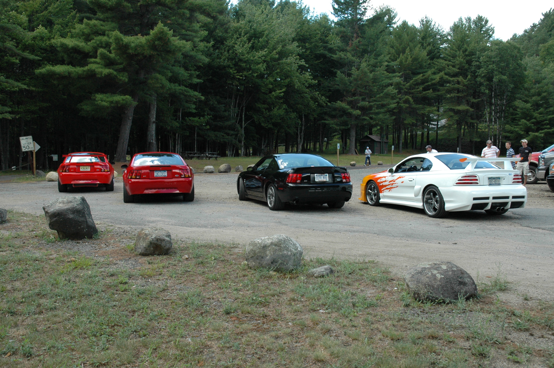 2000 Ford Mustang photo